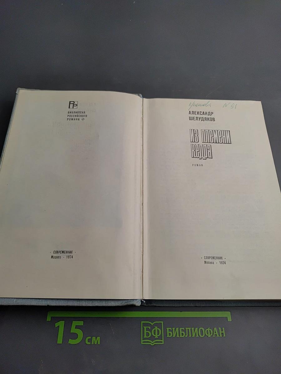 Из племени Кедра