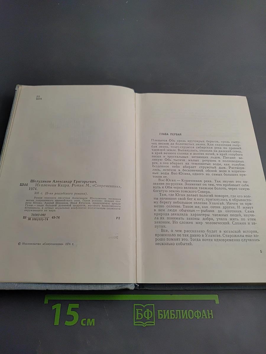 Из племени Кедра