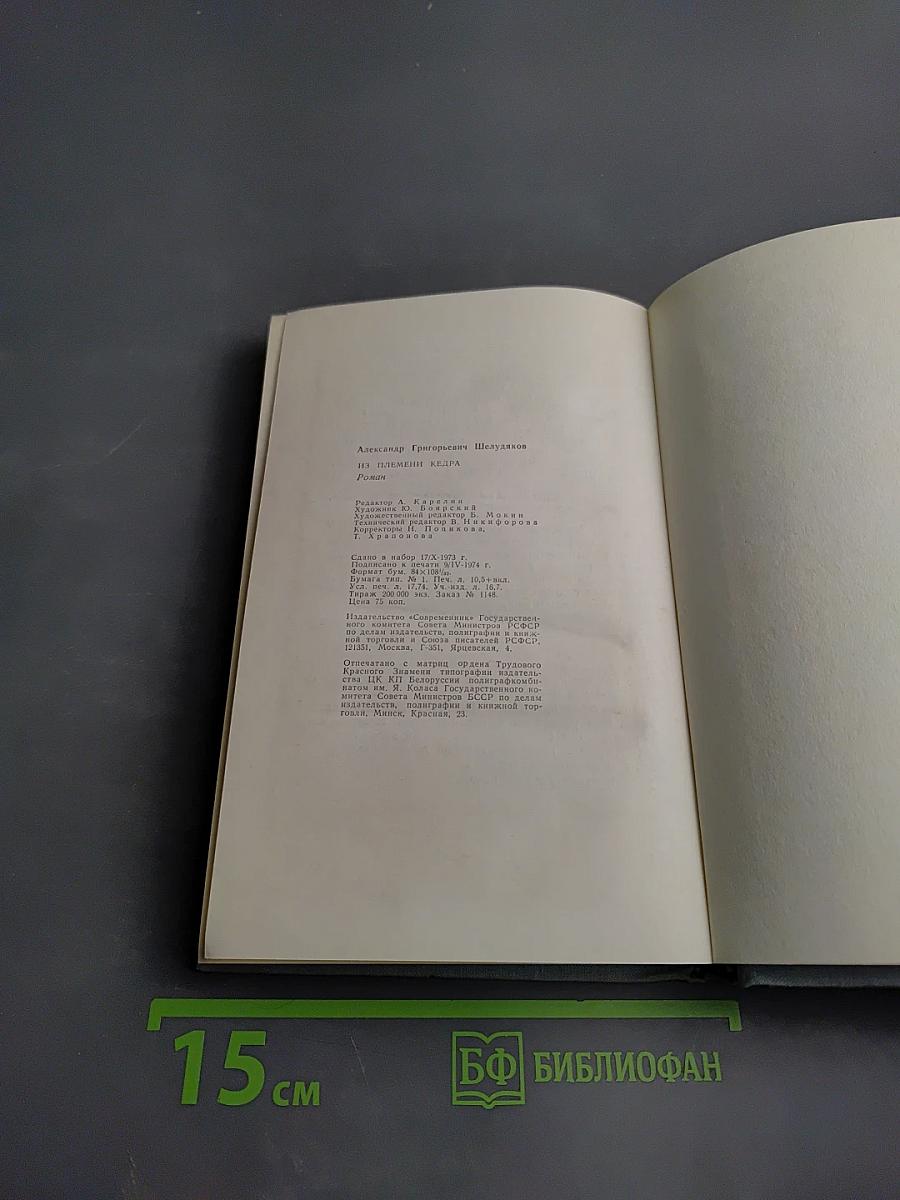 Из племени Кедра