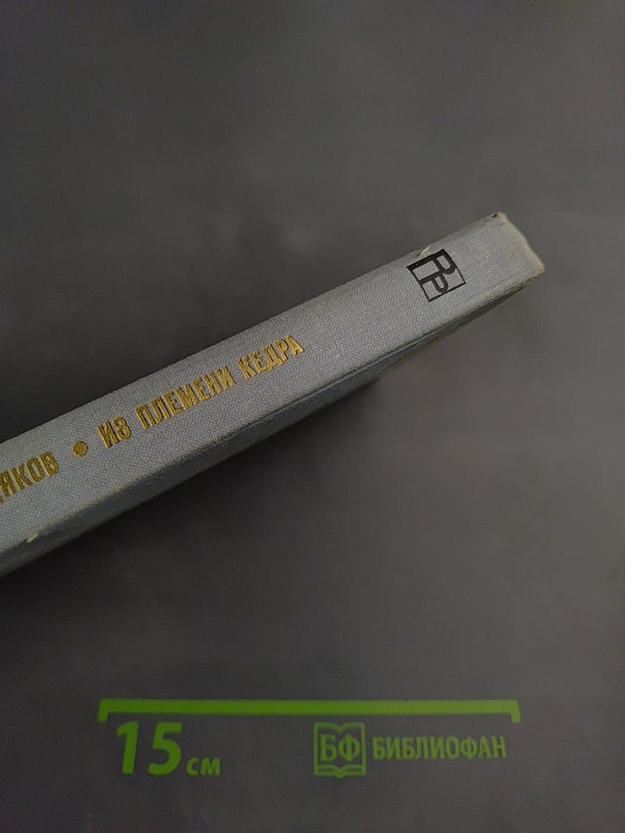 Из племени Кедра