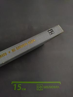 Из племени Кедра