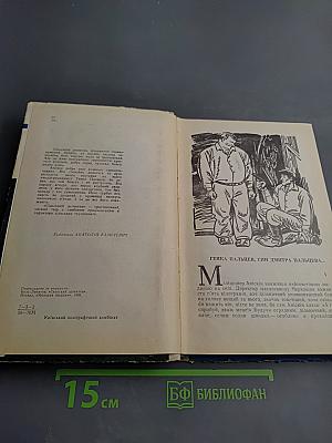 Сельский детектив