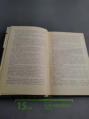 Сельский детектив