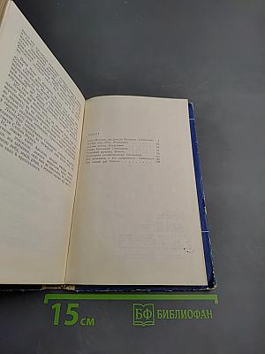 Сельский детектив