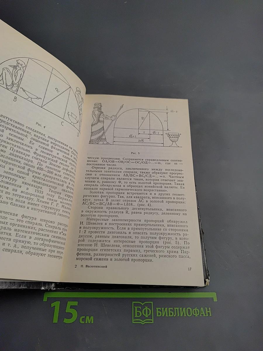Золотая пропорция