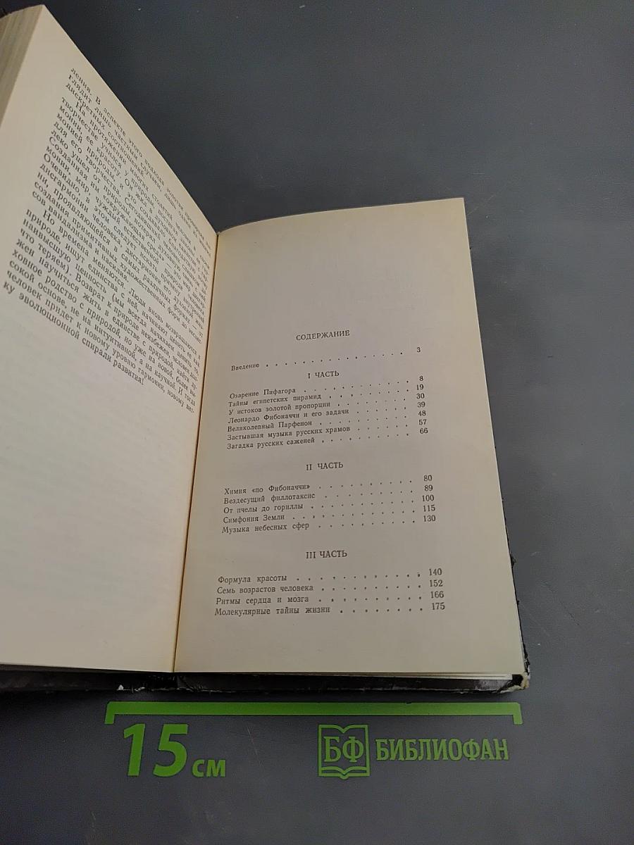Золотая пропорция