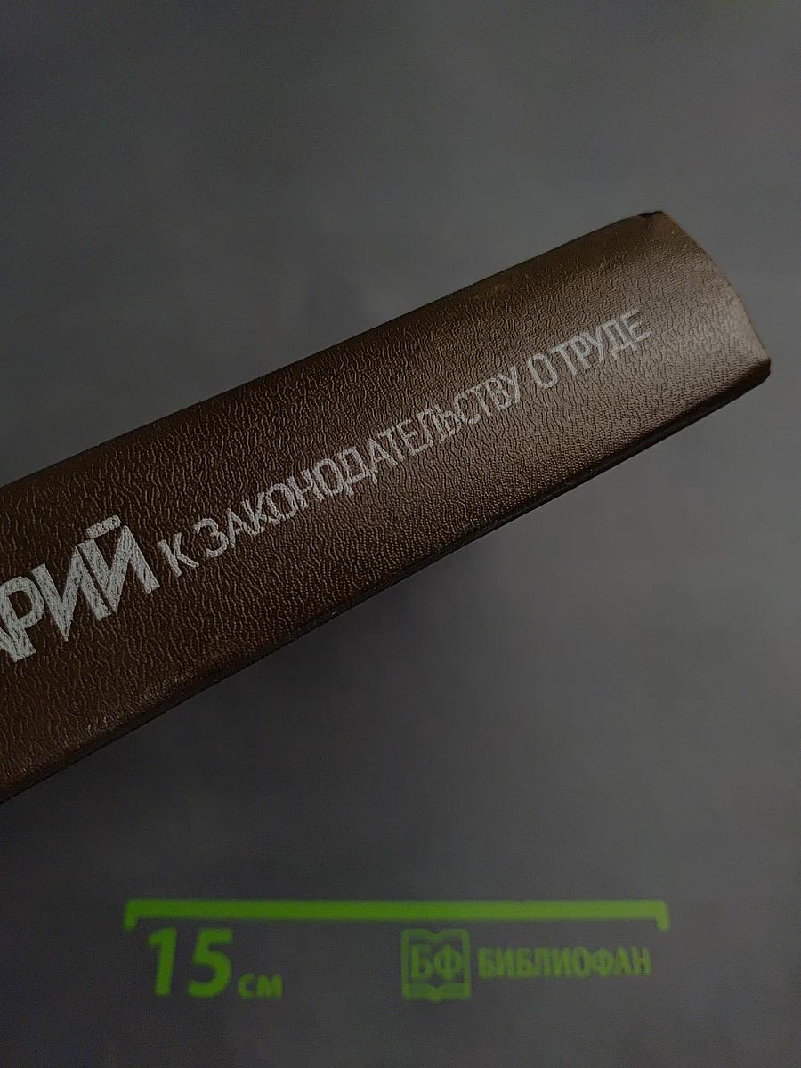 Комментарий к законодательству о труде