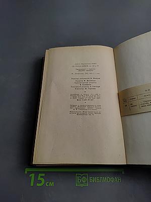 На грани веков. Книги III и IV