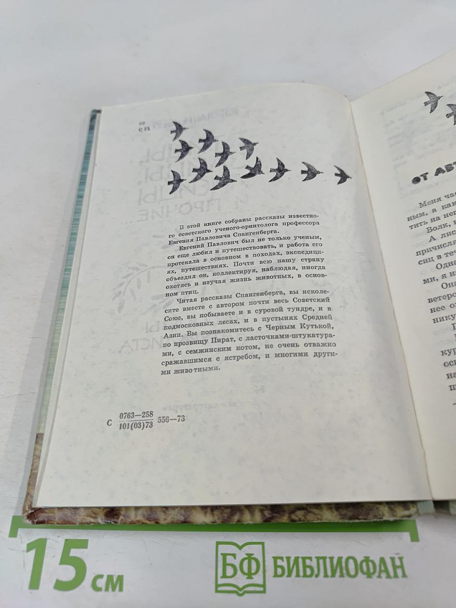 Птицы, зайцы, лисицы и прочие... Рассказы натуралиста