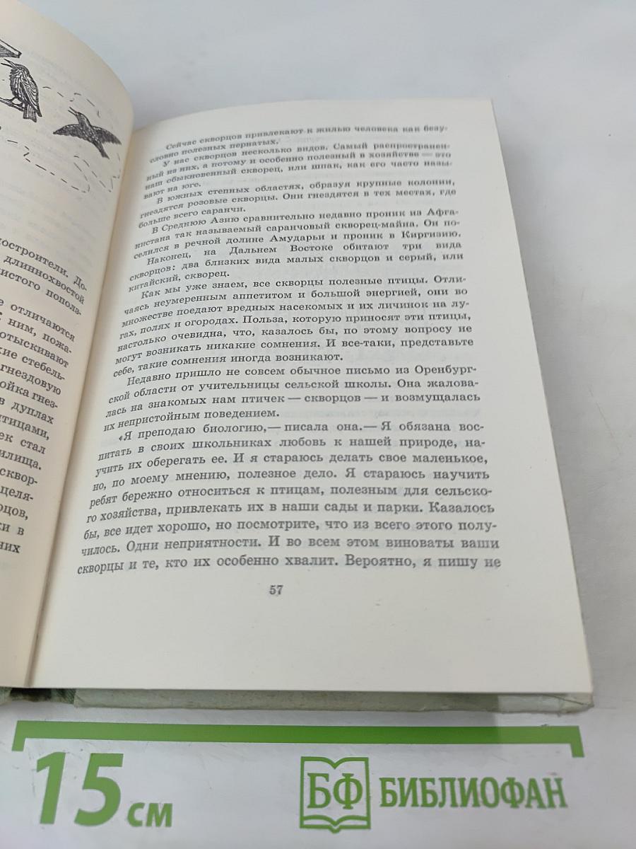Птицы, зайцы, лисицы и прочие... Рассказы натуралиста