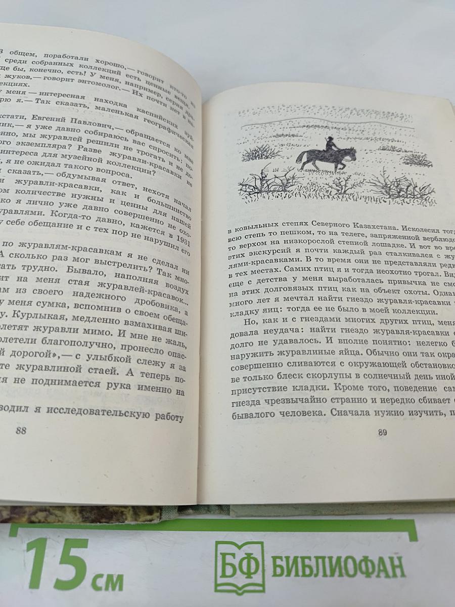 Птицы, зайцы, лисицы и прочие... Рассказы натуралиста