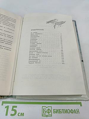 Птицы, зайцы, лисицы и прочие... Рассказы натуралиста