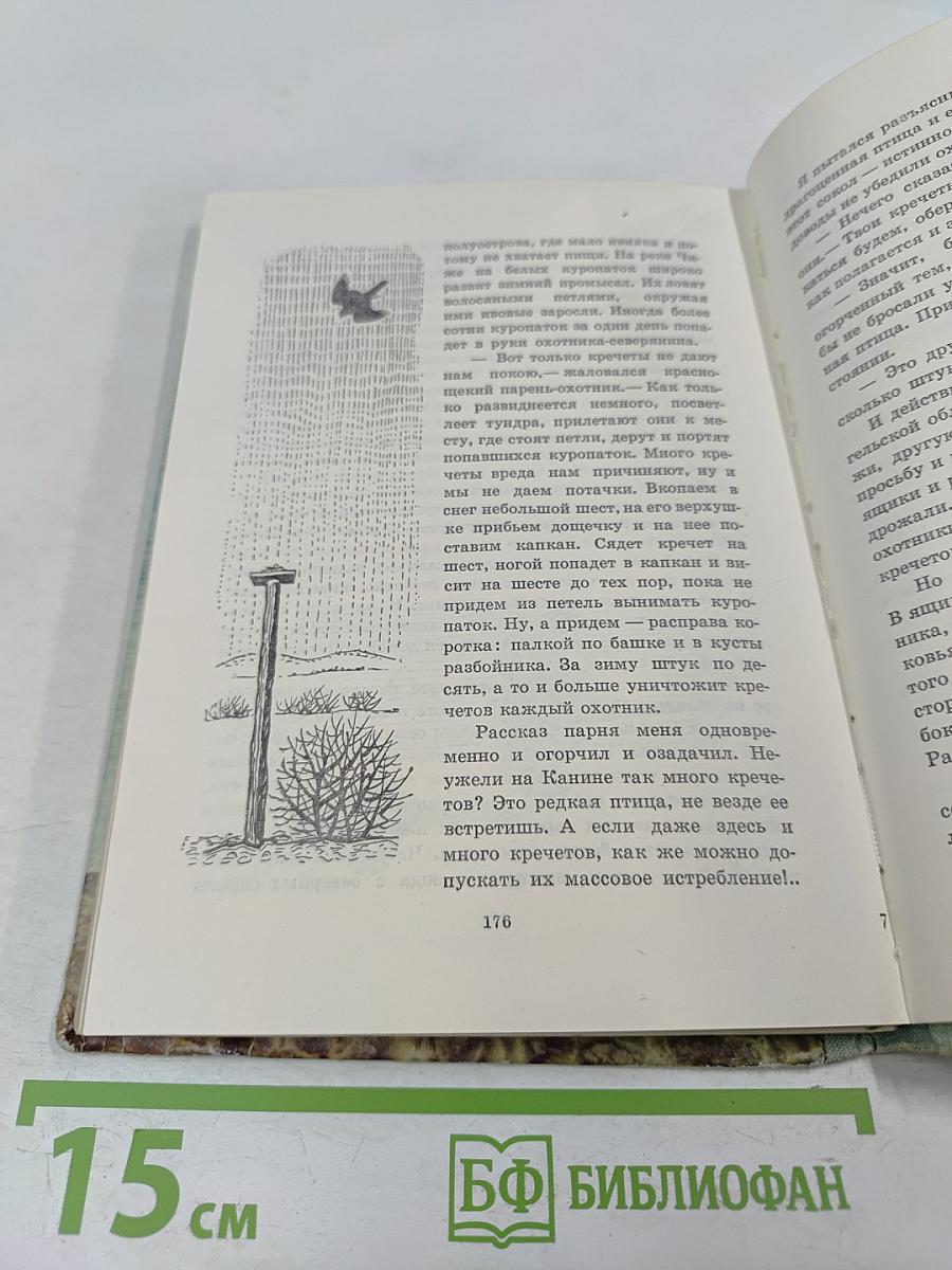 Птицы, зайцы, лисицы и прочие... Рассказы натуралиста
