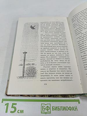 Птицы, зайцы, лисицы и прочие... Рассказы натуралиста