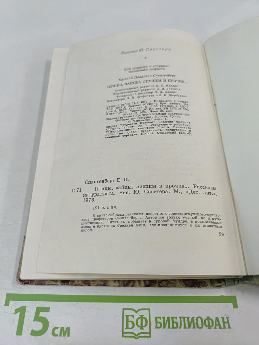 Птицы, зайцы, лисицы и прочие... Рассказы натуралиста