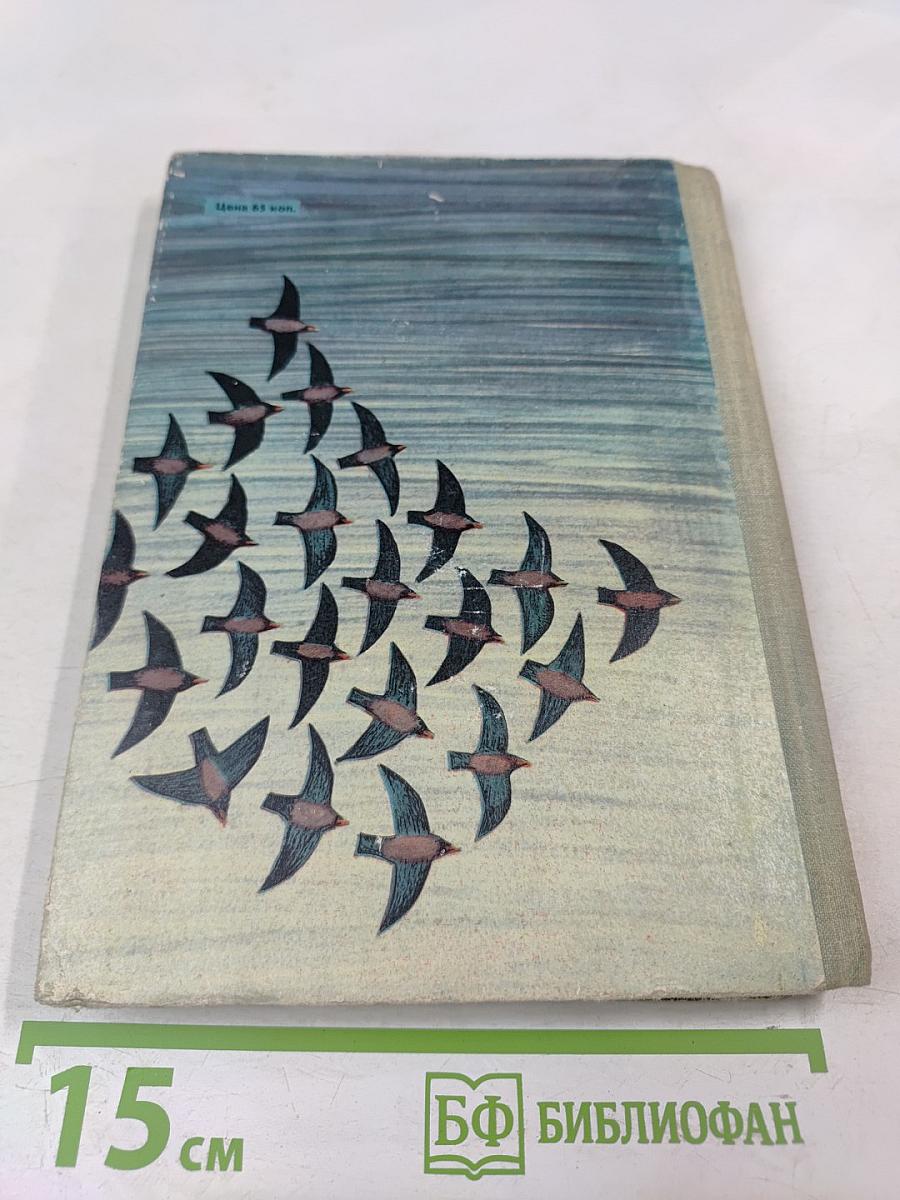 Птицы, зайцы, лисицы и прочие... Рассказы натуралиста