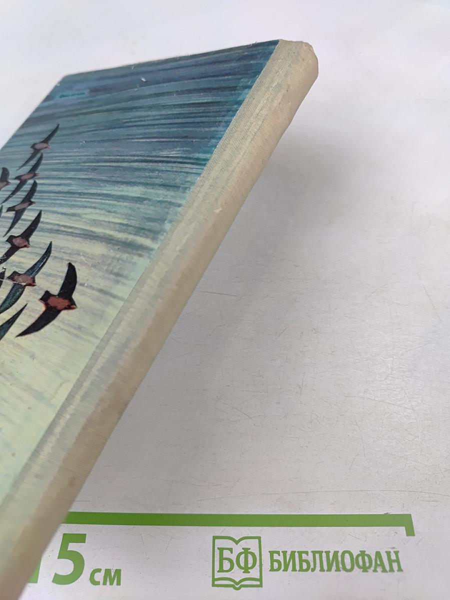 Птицы, зайцы, лисицы и прочие... Рассказы натуралиста