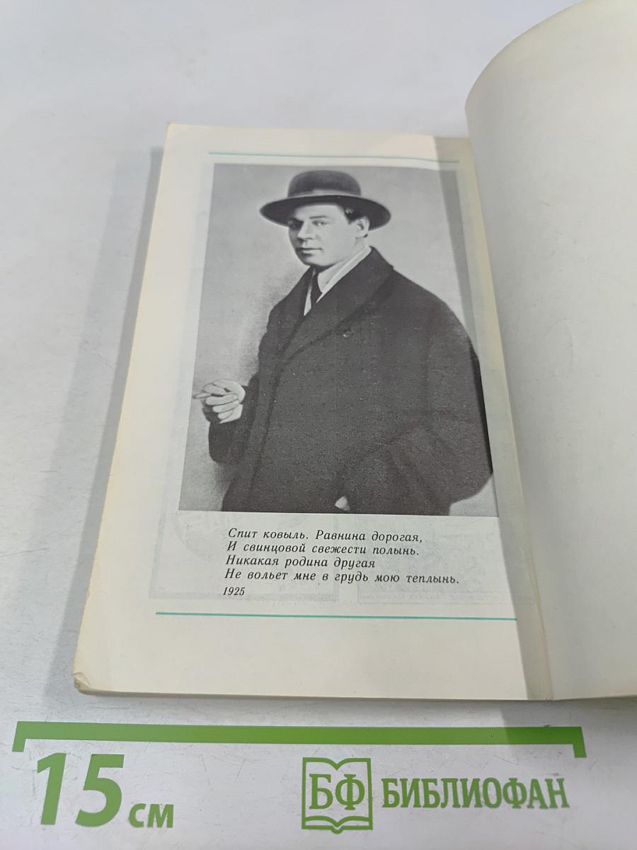 Сергей Есенин. Биография писателя