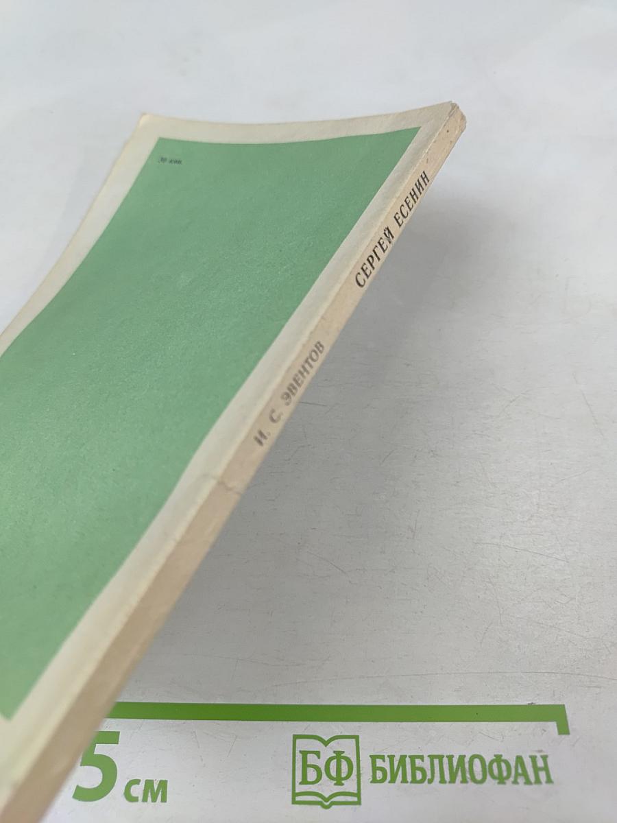 Сергей Есенин. Биография писателя