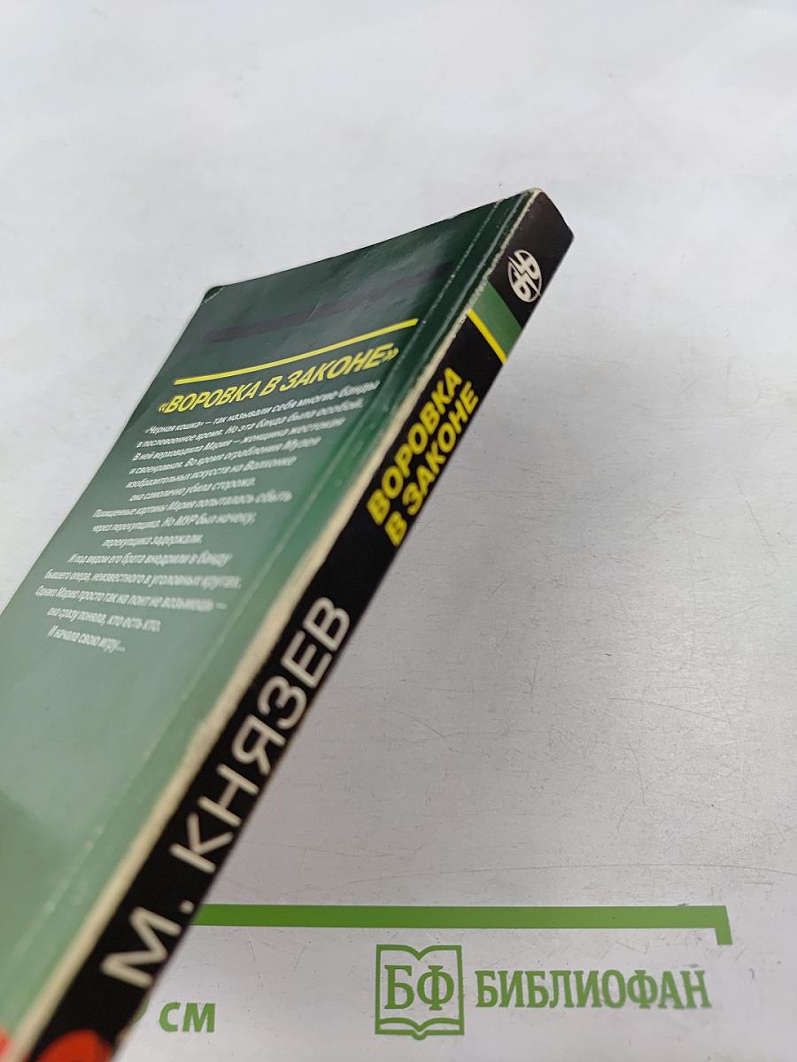 Воровка в законе. Черная кошка