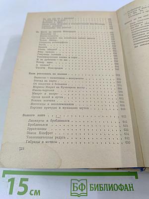 Слово о словах. Имя дома твоего
