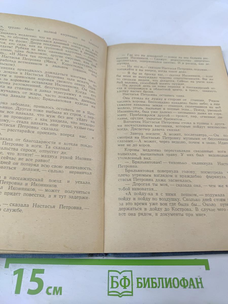 Ясный берег