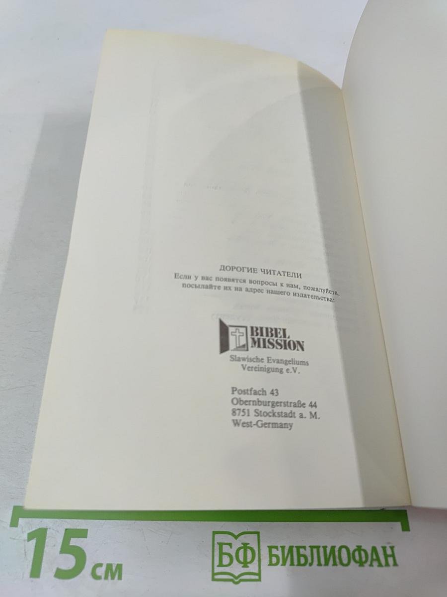 Фундамент жизни