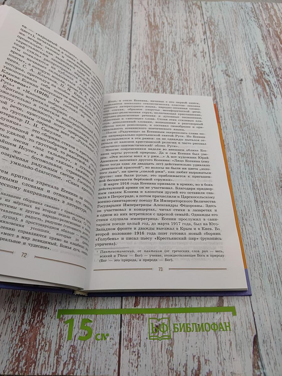 Литература. 9 класс. Часть 2