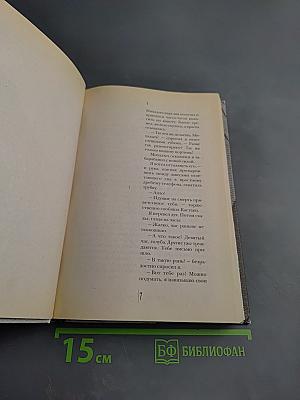 Недвижимость