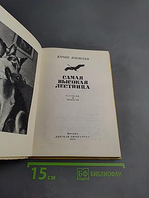 Самая высокая лестница