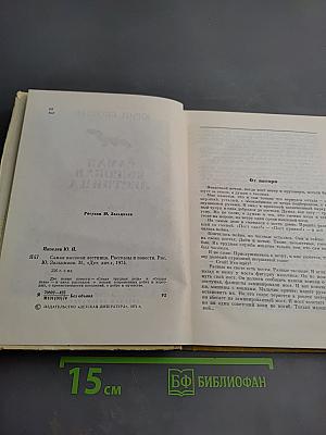 Самая высокая лестница