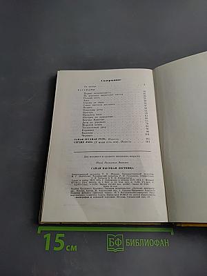 Самая высокая лестница