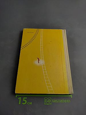 Самая высокая лестница