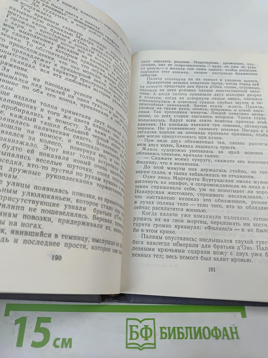 Железный король. Узница Шато-Гайара