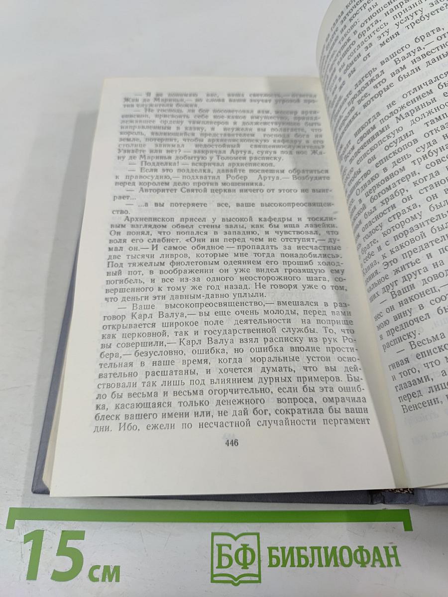 Железный король. Узница Шато-Гайара