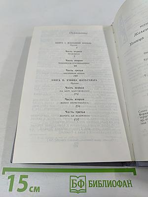 Железный король. Узница Шато-Гайара