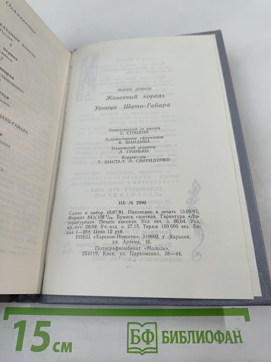 Железный король. Узница Шато-Гайара