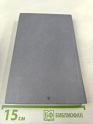 Железный король. Узница Шато-Гайара