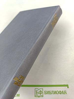 Железный король. Узница Шато-Гайара