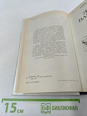 Жизнь Ван Гога. Письма