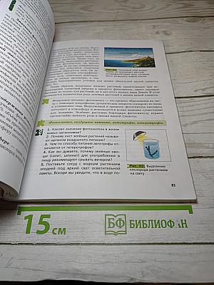Биология 6 класс