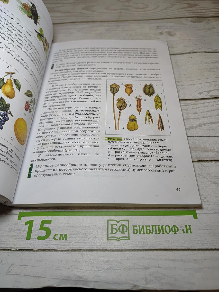 Биология 6 класс