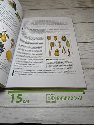 Биология 6 класс