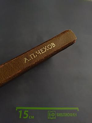 Собрание сочинений. Рассказы 1886. Том 4