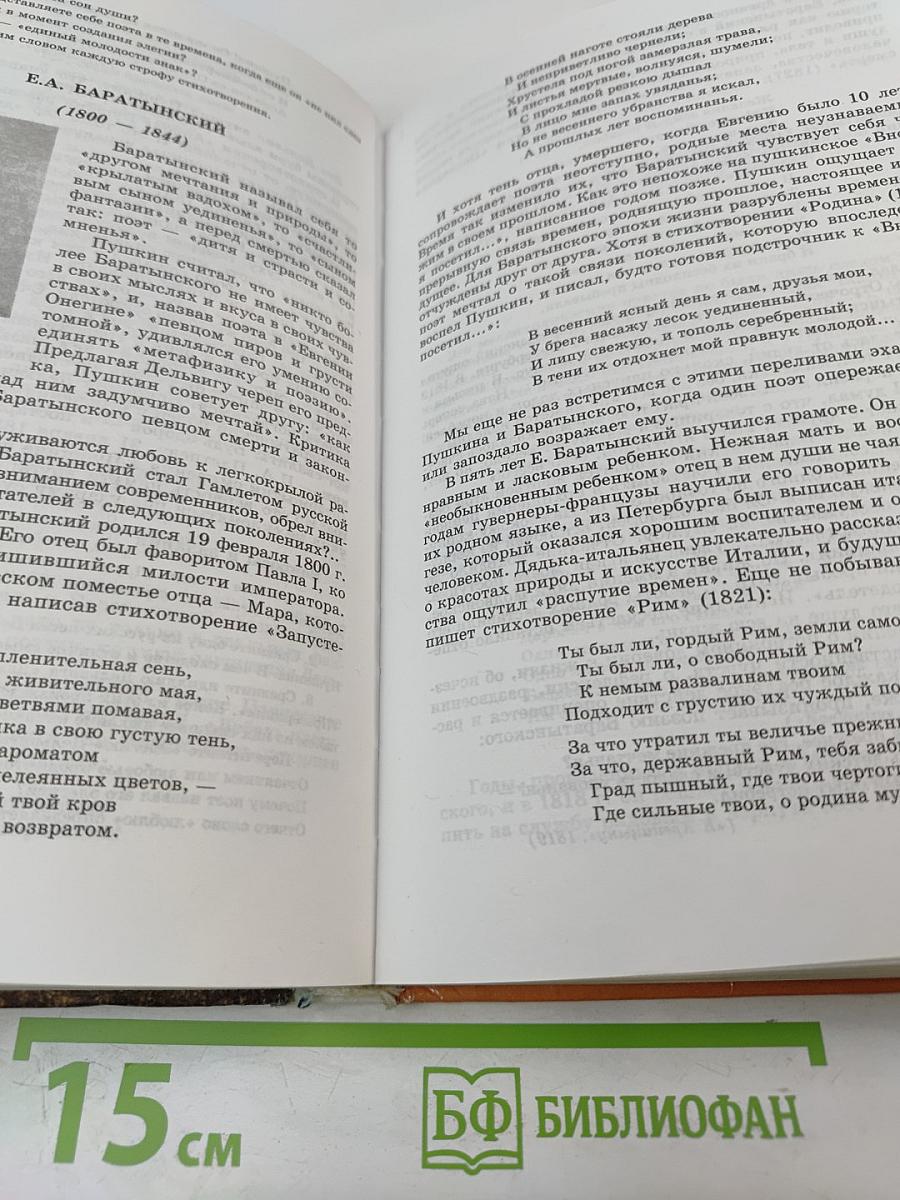 Литература 9 класс