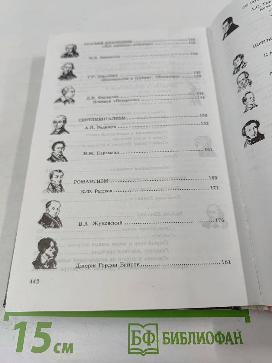 Литература 9 класс