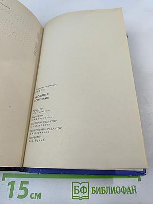 Молодая Вселенная