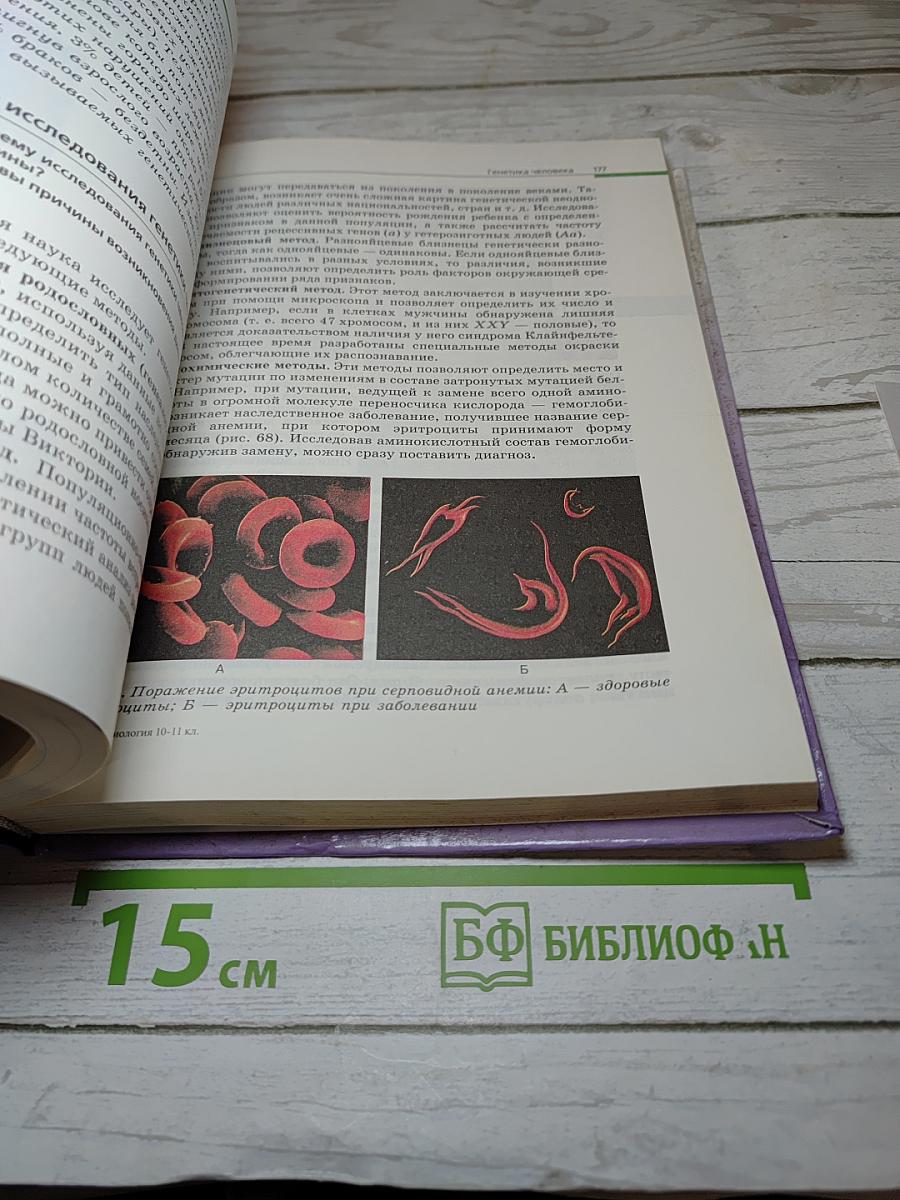 Биология. Общая биология 10-11 классы