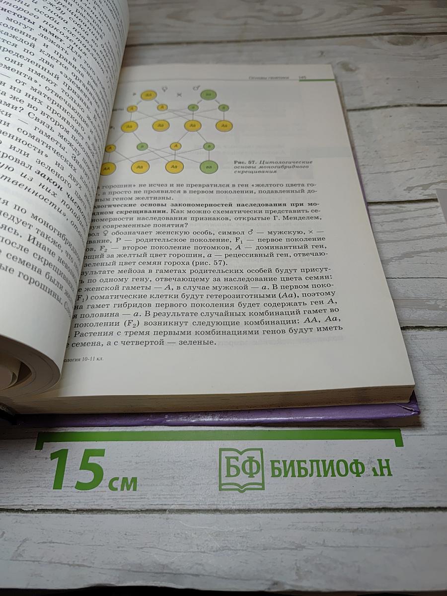 Биология. Общая биология 10-11 классы