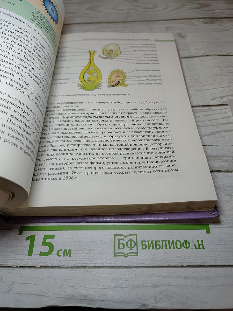 Биология. Общая биология 10-11 классы
